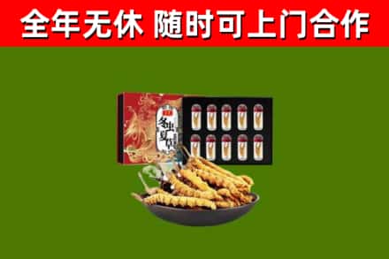 嫩江回收冬虫夏草价格